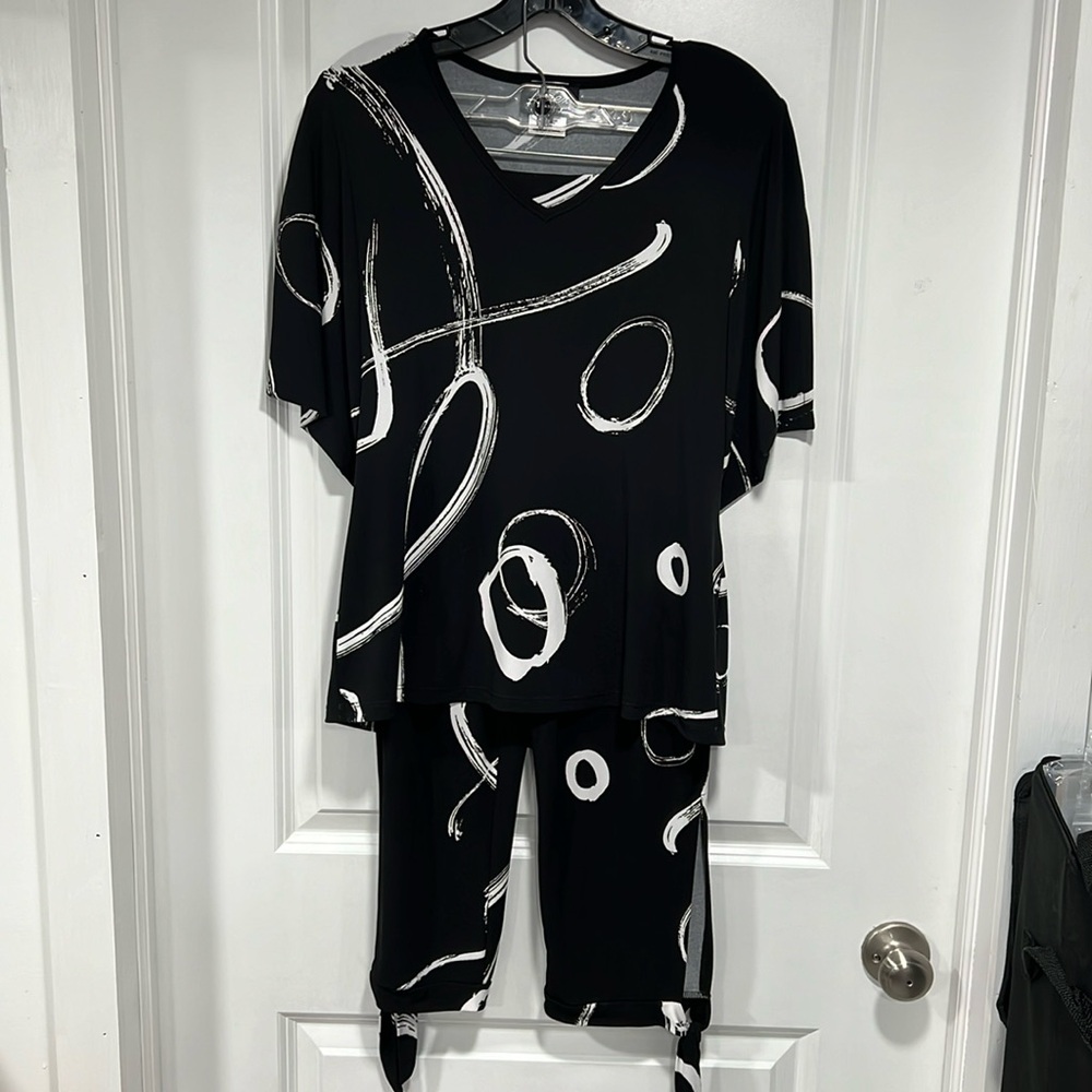 Artex Fashions S/P pants & top